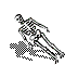 File:Skeleton.png
