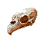 Skull griffin.png