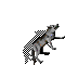 File:Wolf.png