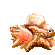 File:Conch.png